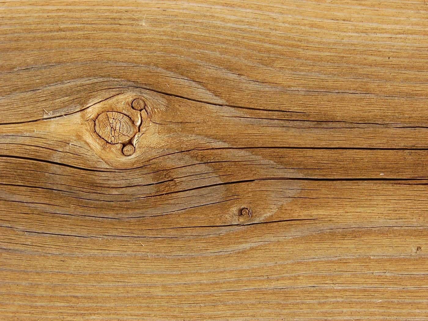 Close-up of weathered timber grain with a knot