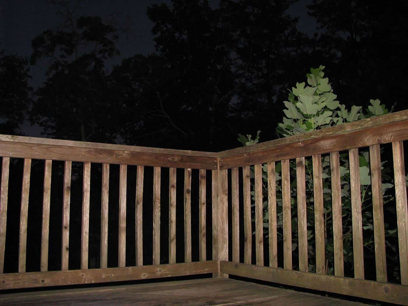 Timber deck railing at dusk with trees behind
